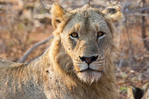 160909 LS 2 Berg en Dal