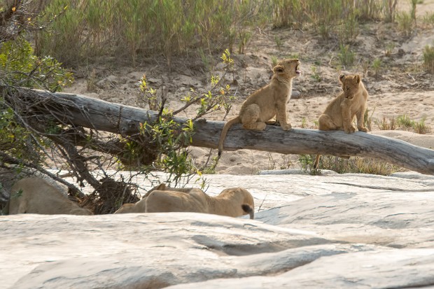 160917 H4-1, H12, H1-2