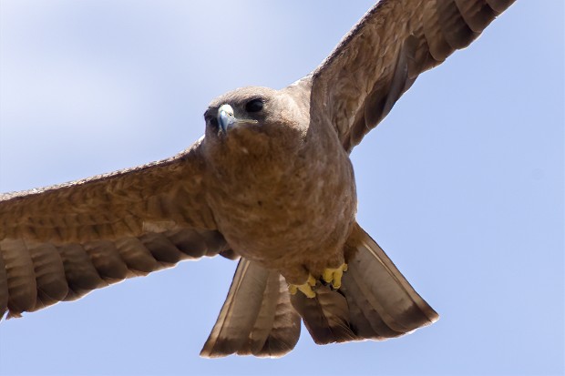 190925 around Satara