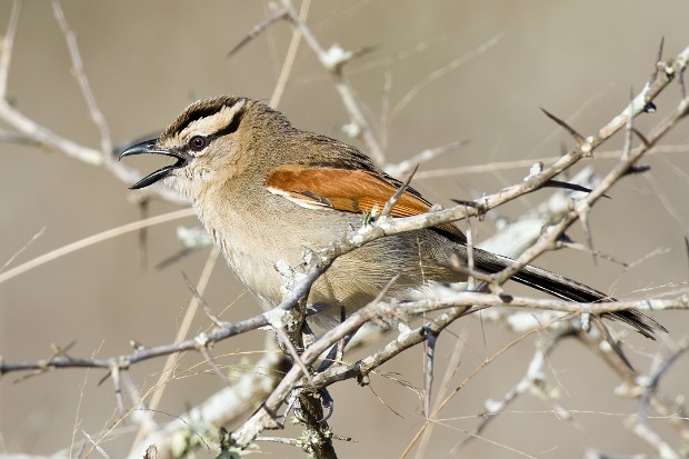190927 around Lower Sabie