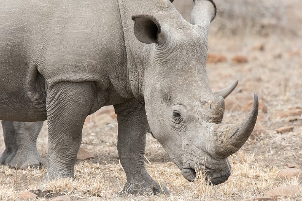 160910 S110, 114,25,119,h2-2,h3,120