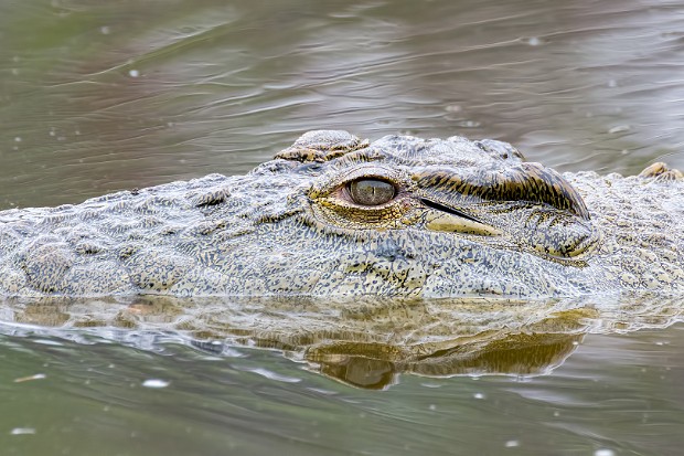 160915 S3,1 Lake Panic