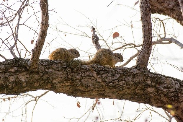 190920 Punda to Crooks Corner