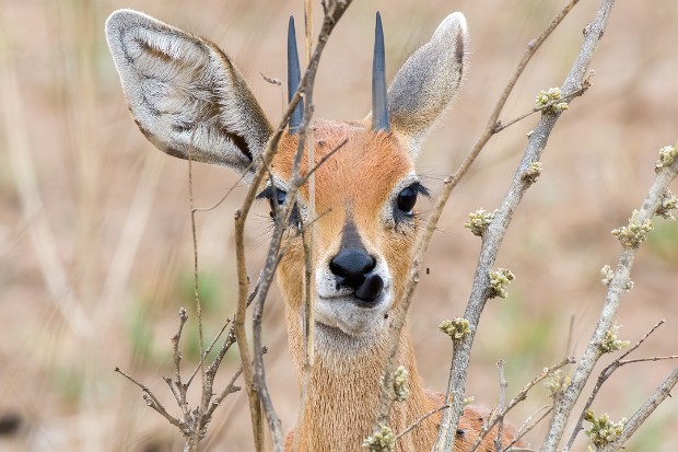 190926 Satara to Lower Sabie