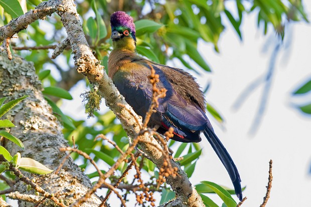 190930 Pretoriuskop to Skukuza